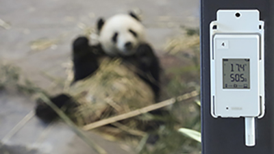 Vaisala无线数据记录仪中的熊猫围栏
