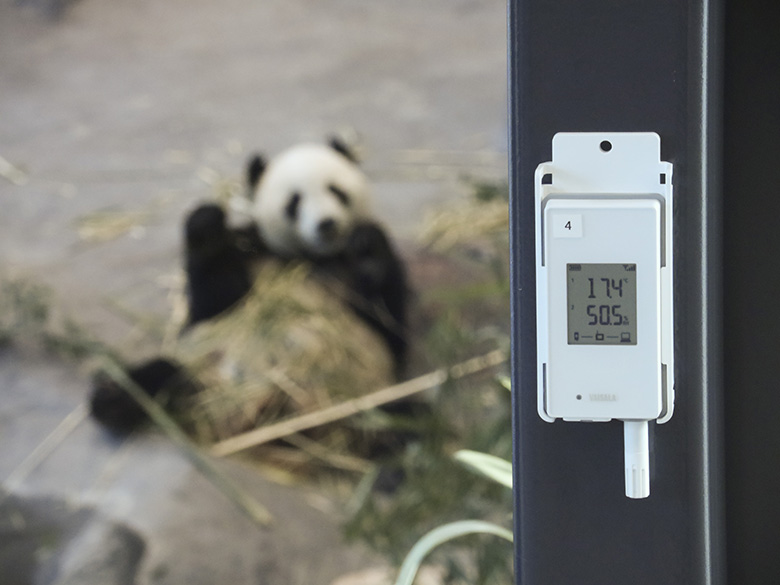 熊猫和瓦萨拉数据记录仪